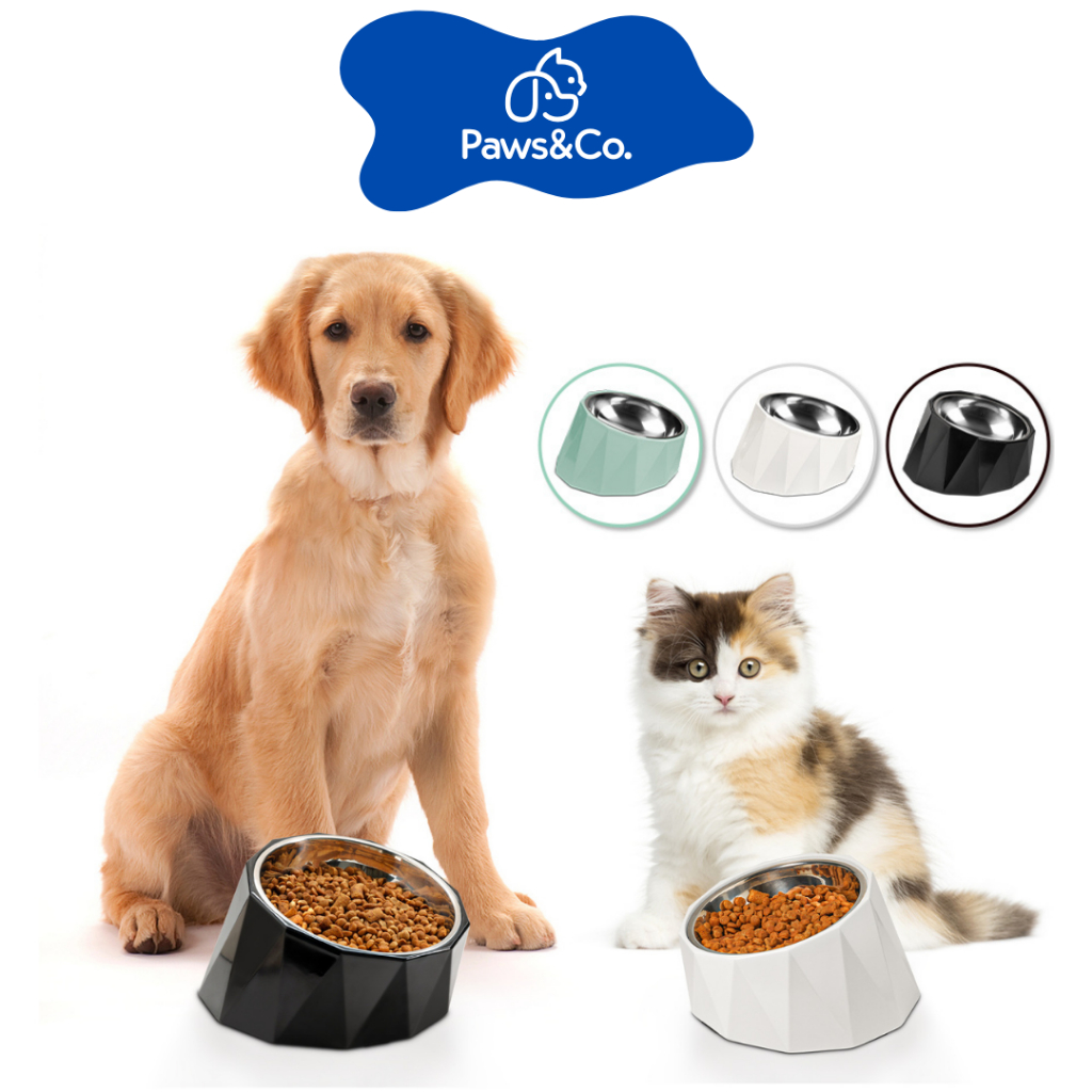 [พร้อมส่ง] ชามแสตนเลสหมาแมว ชามเอียงเข้ากับสรีระน้อง Slanted Stainless Steel Bowl For Pets