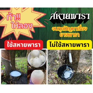 ยาทาหน้ายางหรือสารเพิ่มปริมาณน้ำยาง สหายพารา รักษายางตายนึ่ง ปริมาณ 500ml 1 ขวด