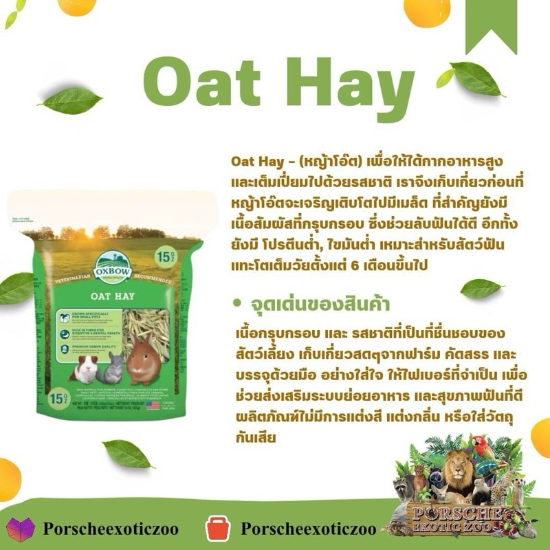 หญ้าโอ๊ต หญ้าอาหารสัตว์ (Oat hay)
