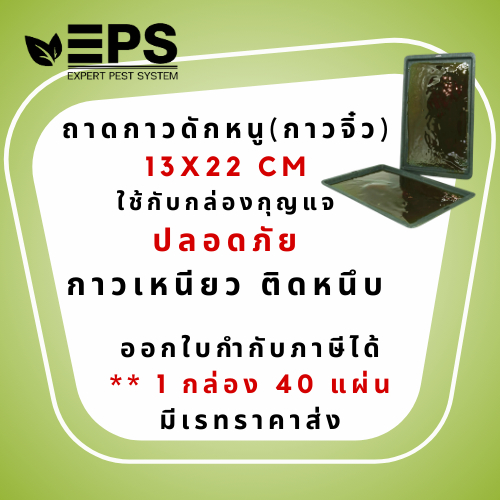 ถาดกาวดักหนู กาวจิ๋ว ขนาด 13X22 cm สำหรับใช้กับกล่องดักหนูรุ่นกุญแจ