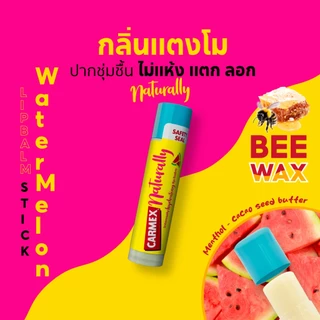 คาร์เม็กซ์ ลิปบาล์ม ทุกกลิ่น ทุกแบบ Carmex Lip Balm
