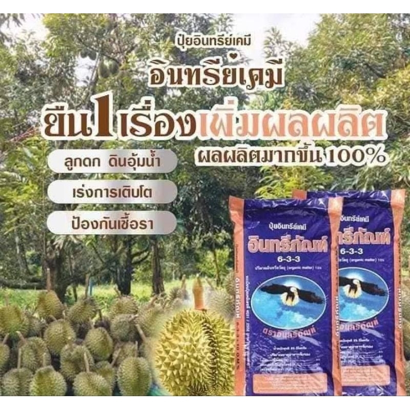 ปุ๋ยอินทรีย์เคมีภัณฑ์ ปุ๋ยมูลค้างคาว 633 ของแท้ 100% แบ่งขาย บรรจุ 3 กิโล
