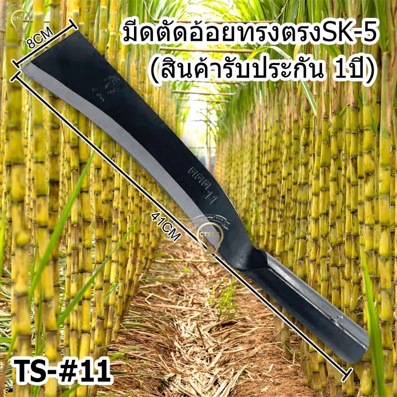 🔥🔥🔥สินค้ารับประกัน1ปี มีดตัดอ้อย TS-11 ทรงตรง มีดตัดอ้อยเหล็กแมงกานีสSK-5แท้ คมทนทาน ของแท้ พร้อมส่ง