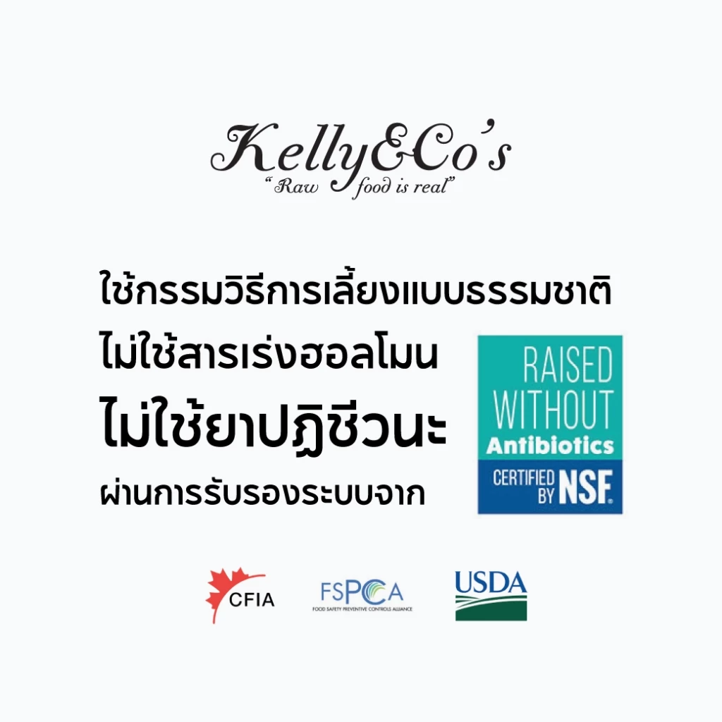 เคลลี่แอนด์โค ผงโปรตีนแมว 50 กรัม บำรุงกล้ามเนื้อ เพิ่มความอยากอาหาร thumbnail 7