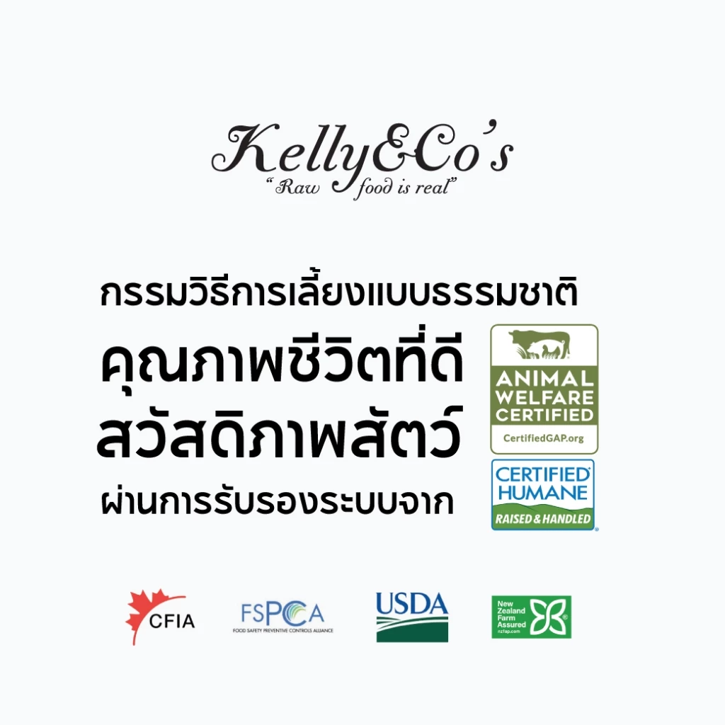 Kelly & Co's ผงโปรตีนโรยอาหารสุนัข 50g สูตรเข้มข้น thumbnail 8