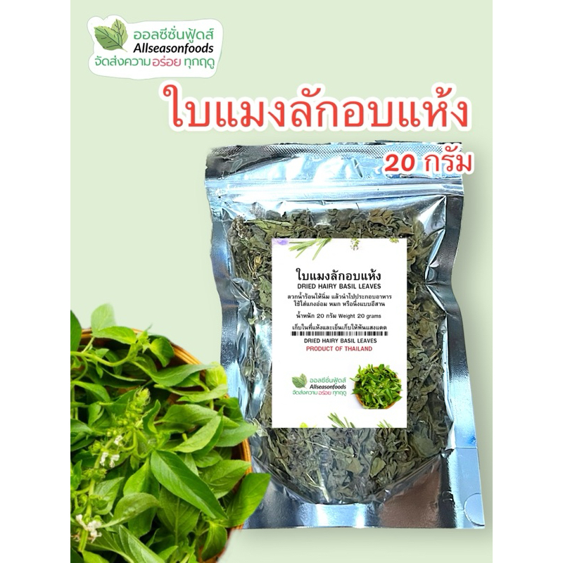 ใบแมงลักอบแห้ง - ออลซีซั่นฟู้ดส์ Allseasonfoods