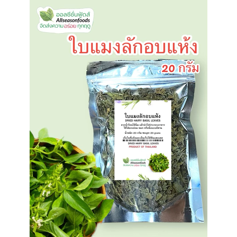 ใบแมงลักอบแห้ง - ออลซีซั่นฟู้ดส์ Allseasonfoods