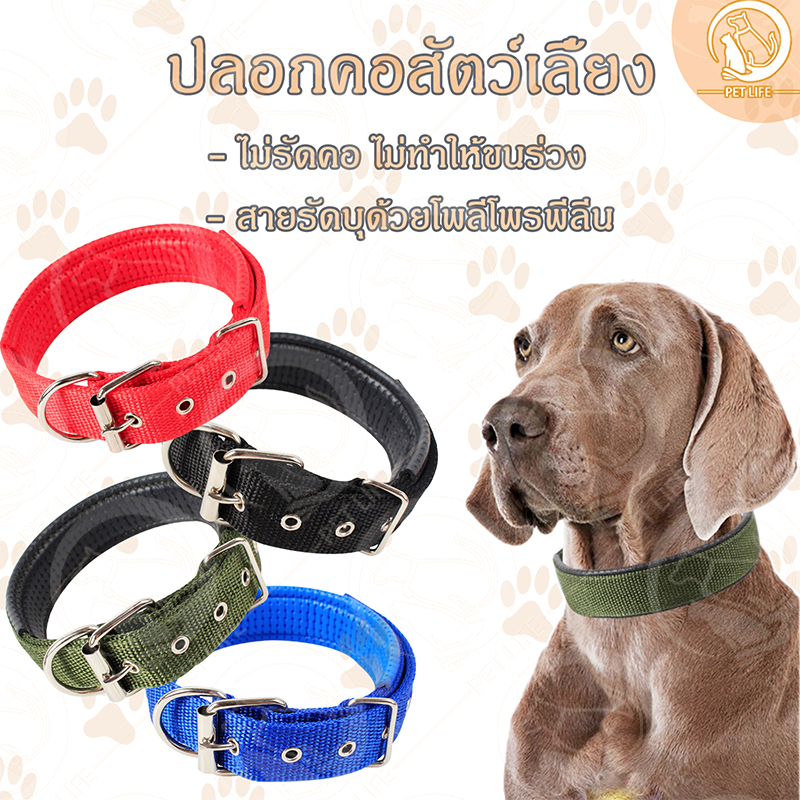 PET LIFE ปลอกคอสัตว์เลี้ยง ปลอกคอสุนัข ปลอกคอแมว แบบไนล่อน มี 4 ขนาด 4 สีให้เลือ