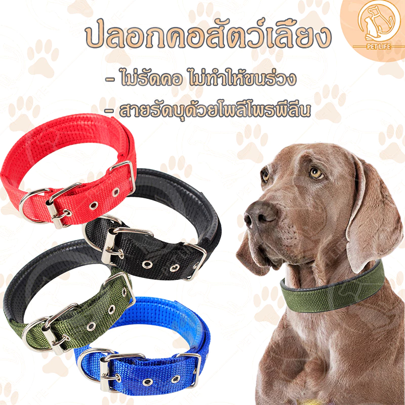 PET LIFE ปลอกคอสัตว์เลี้ยง ปลอกคอสุนัข ปลอกคอแมว แบบไนล่อน มี 4 ขนาด 4 สีให้เลือก แบบไนล่อน
