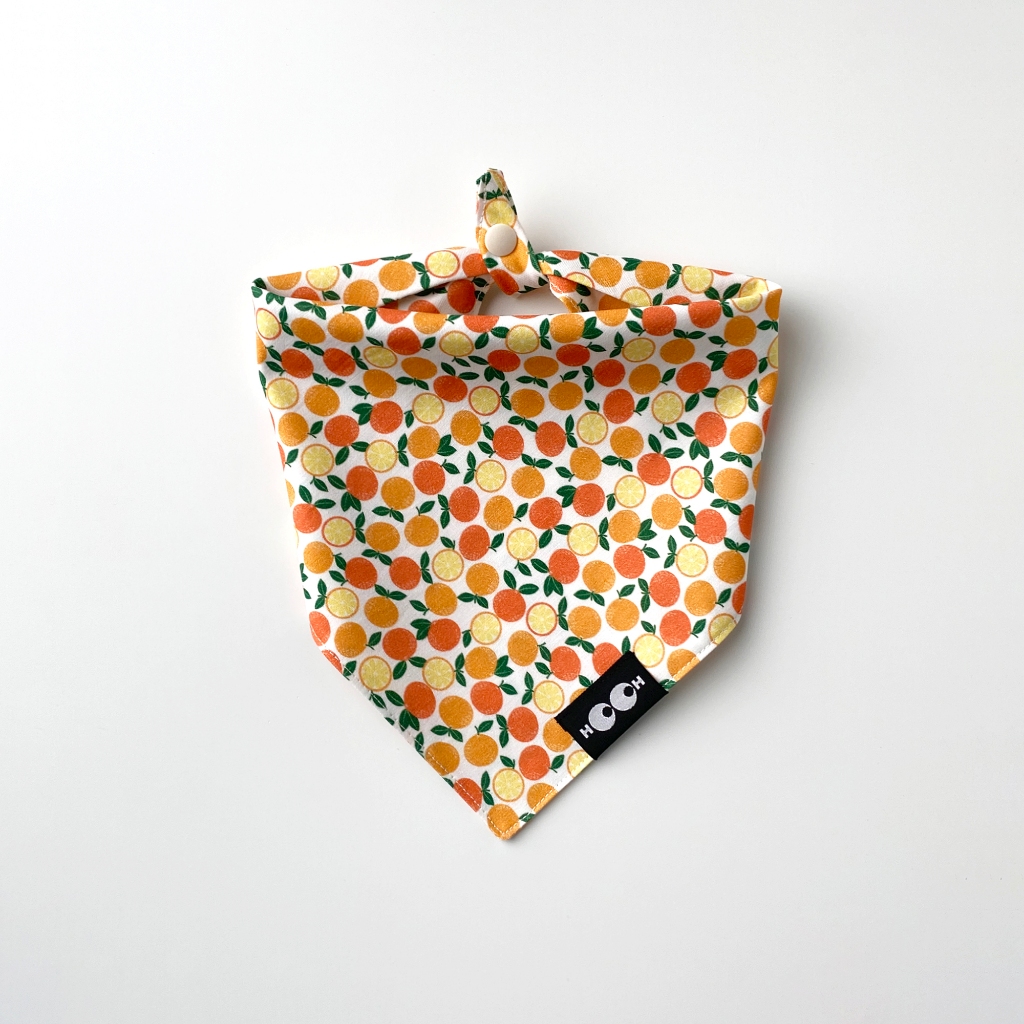 HO.OH - Sunkissed Oranges - ผ้าพันคอลายส้มสดใส ผ้าพันคอหมา ผ้าพันคอแมว