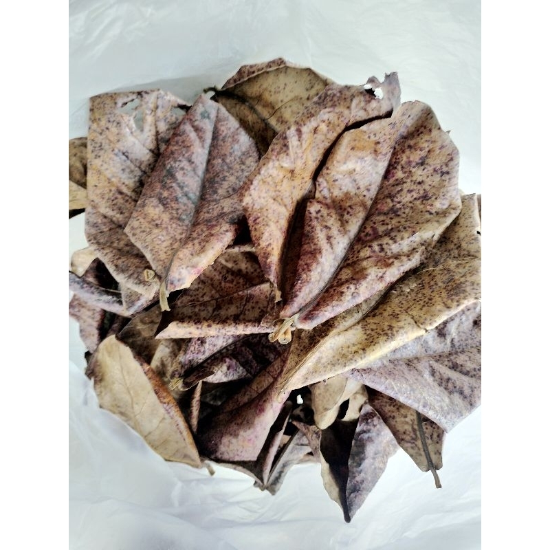 ใบหูกวางแห้งราคาถูกจำนวน50ใบ มีของแถมทุกออเดอร์