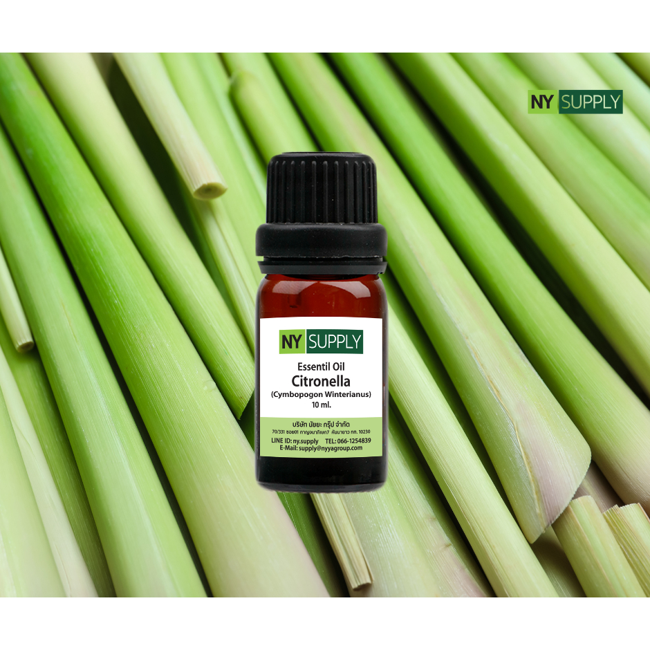 NY Supply น้ำมันหอมระเหยซิตรอนเนลลา (Citronella Essential Oil)