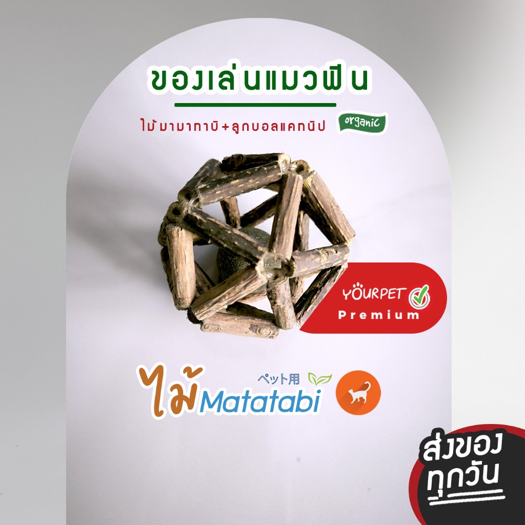 บอลแคทนิป ของเล่นแมว ขัดฟันแมว