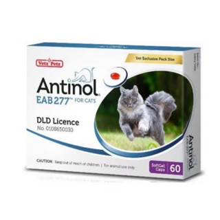 Antinol Cat แอนทินอล อาหารเสริมไขมัน บำรุงข้อ สำหรับแมว 1 กล…