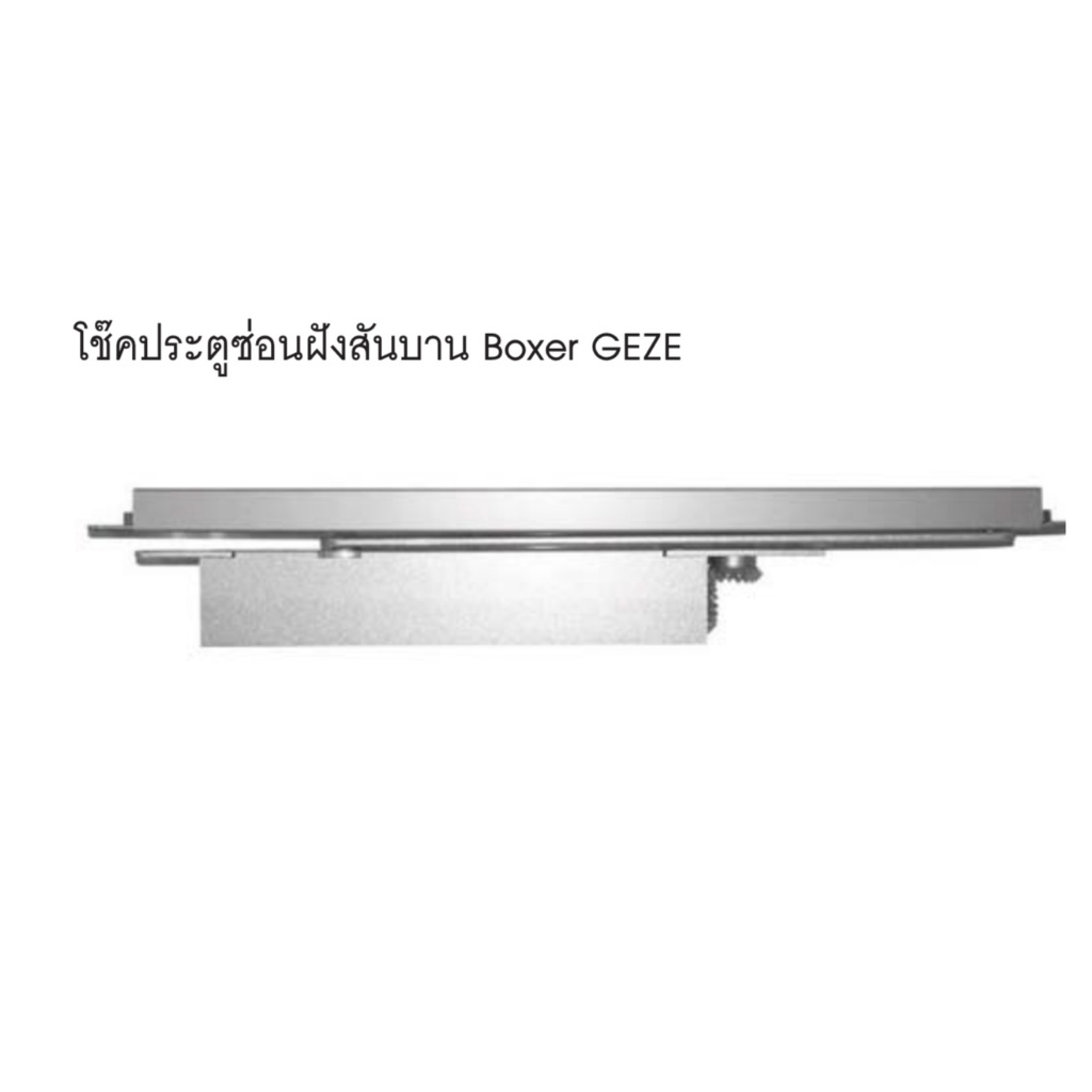 HAFELEโช๊คประตูซ่อนในบานประตูรับ 180 กก. Boxer