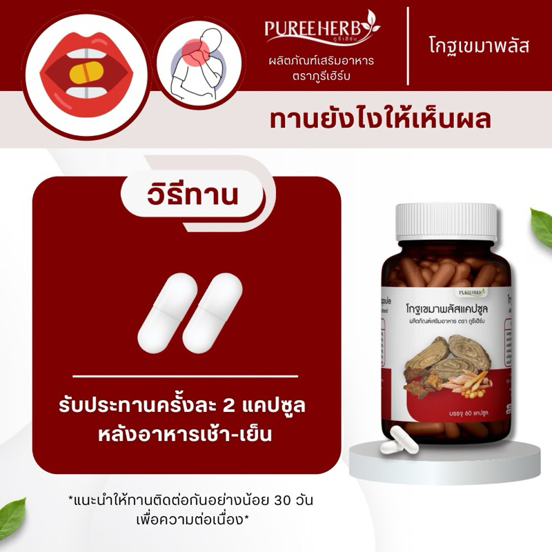 โกฐเขมาพลัสแคปซูล ตราภูรีเฮิร์บ (ร้านเจ้าของแบรนด์) - 3