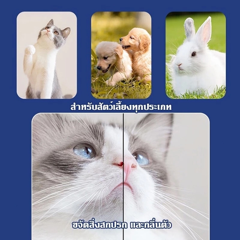 [พร้อมส่ง] ✨ทิชชู่เปียก 80 แผ่น แผ่นเช็ดแมว ทิชชู่หมา Pet wipes สัตว์เลี้ยง สำหรับเช็ดสัตว์เลี้ยง ปราศจากแอลกอฮอล์ - รูปที่ 5