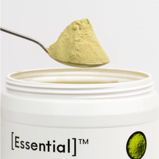 Essential ND+ Matcha Plant Protein โปรตีนพืช รสมัทฉะ 1 กระปุก 900 กรัม