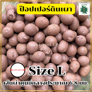 POPPER เมล็ดดินเผามวลเบา ใช้ล่อราก กักเก็บความชื้น ลดการเกาะตัวของดิน ฟื้นฟูอาการโคนยุบ รากแห้ง ขาดน้ำ บรรจุ1ลิตร