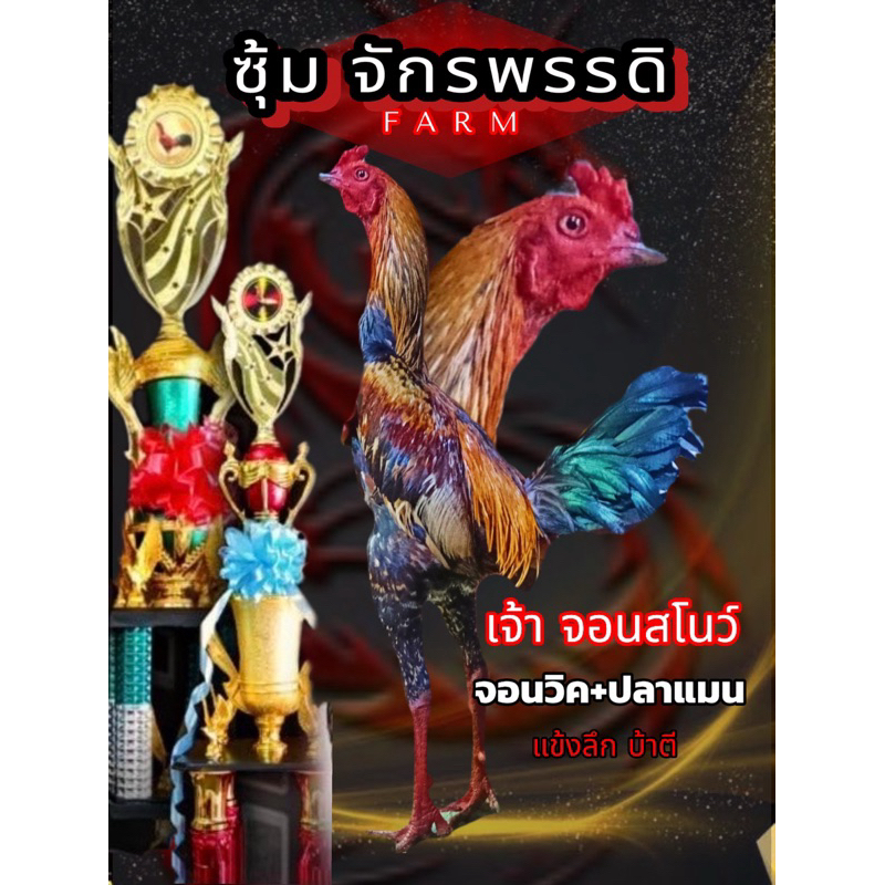 ไข่ไก่ชนพม่า  จอนวิค+ปลาแมน สายเลือดโกวเซ้ม บ้าตีแข้งลึก