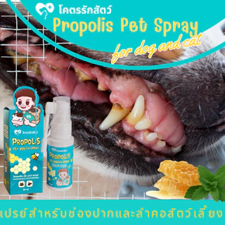 สเปรย์พ่นปากสัตว์เลี้ยง โพรพอลิส โคตรรักสัตว์ Spray 20 มล.