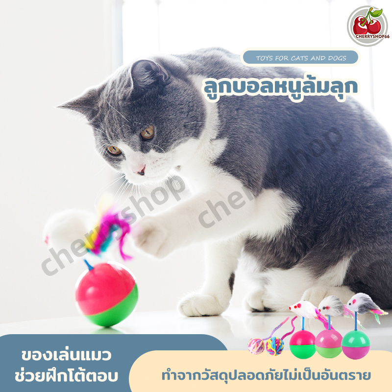 ของเล่นแมว สัตว์เลี้ยง รูปหนูน่ารัก สีมาการอง เล่นอุปกรณ์สัตว์เลี้ยง – โปรปัง