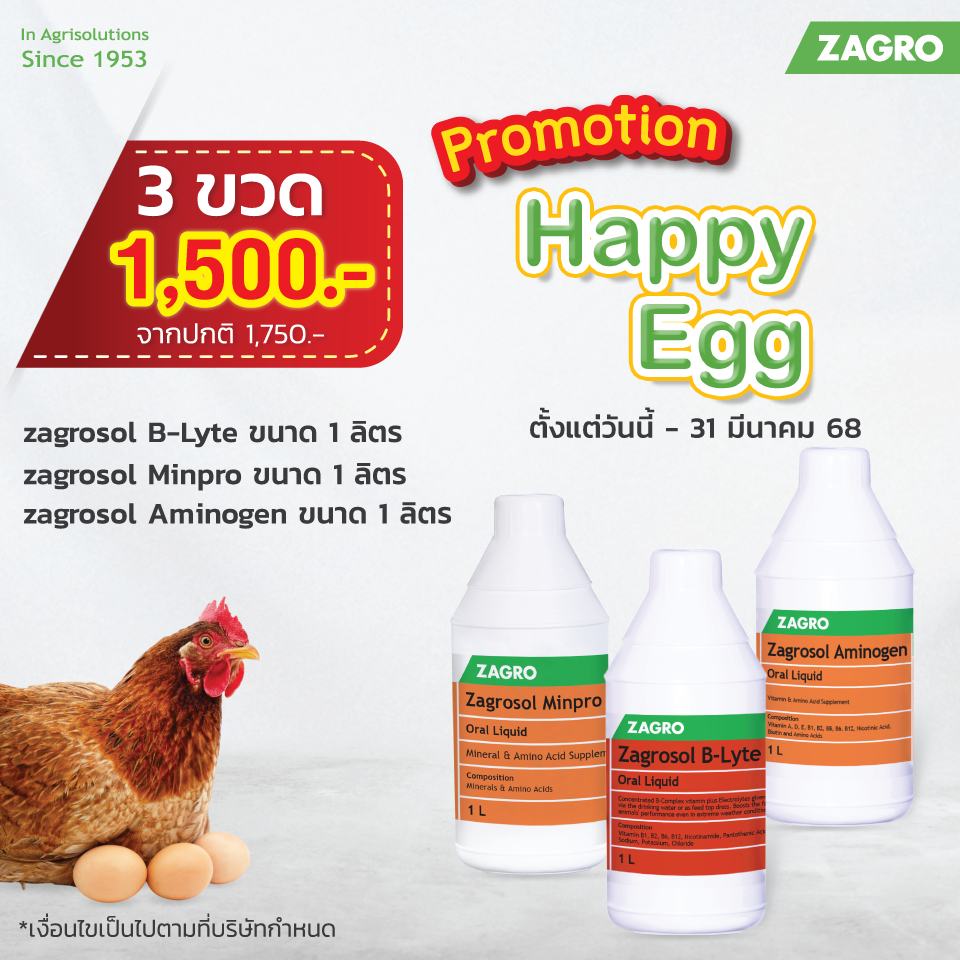 [Promotion Happy Egg เซต 3 ขวด สุดคุ้ม !!! ]  B-Lyte -1 lt +  Minpro - 1 lt +Aminogen - 1 lt