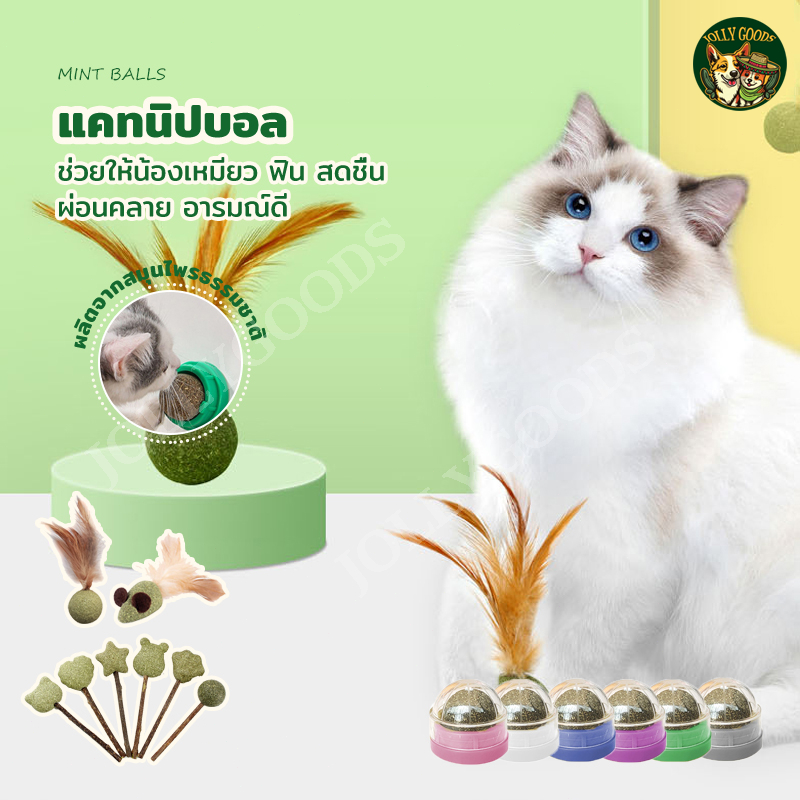 ของเล่นแมว สมุนไพรแมวฟิน แคทนิปแมว ของเล่นแมว ช่วยให้น้องเหมียว ฟิน
