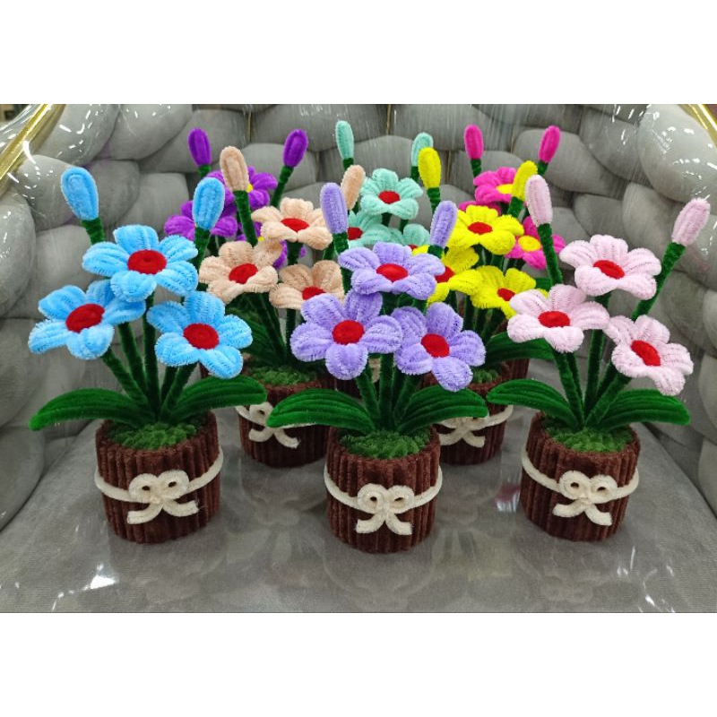 ดอกลิลลี่ กระถางดอกไม้สวยๆ โปรดอ่านรายละเอียดก่อนสั่งซื้อ