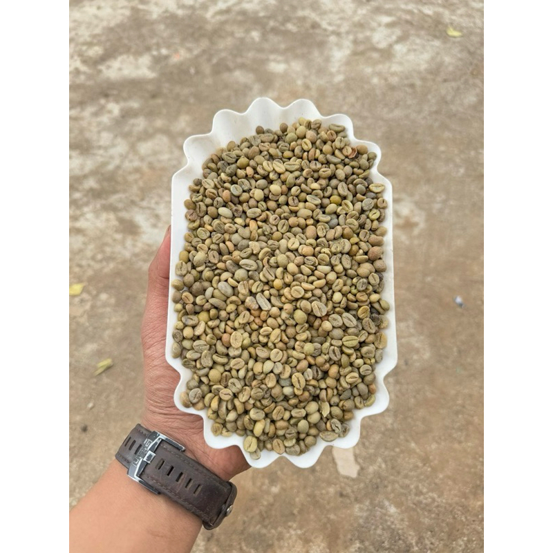 กาแฟสาร โรบัสต้าไทย 229 บาท ต่อ 1 kg. มีราคายกกระสอบ