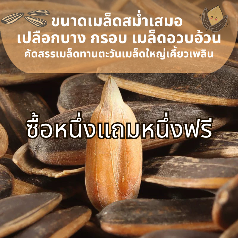 【ซื้อหนึ่งแถมหนึ่งฟรี】 เมล็ดทานตะวัน อบ ขิง สมุนไพร น้ำหนัก 100 กรัม #เพื่อสุขภาพ #เม็ดทานตะวัน (ใส่ถุงซิปล็อค)