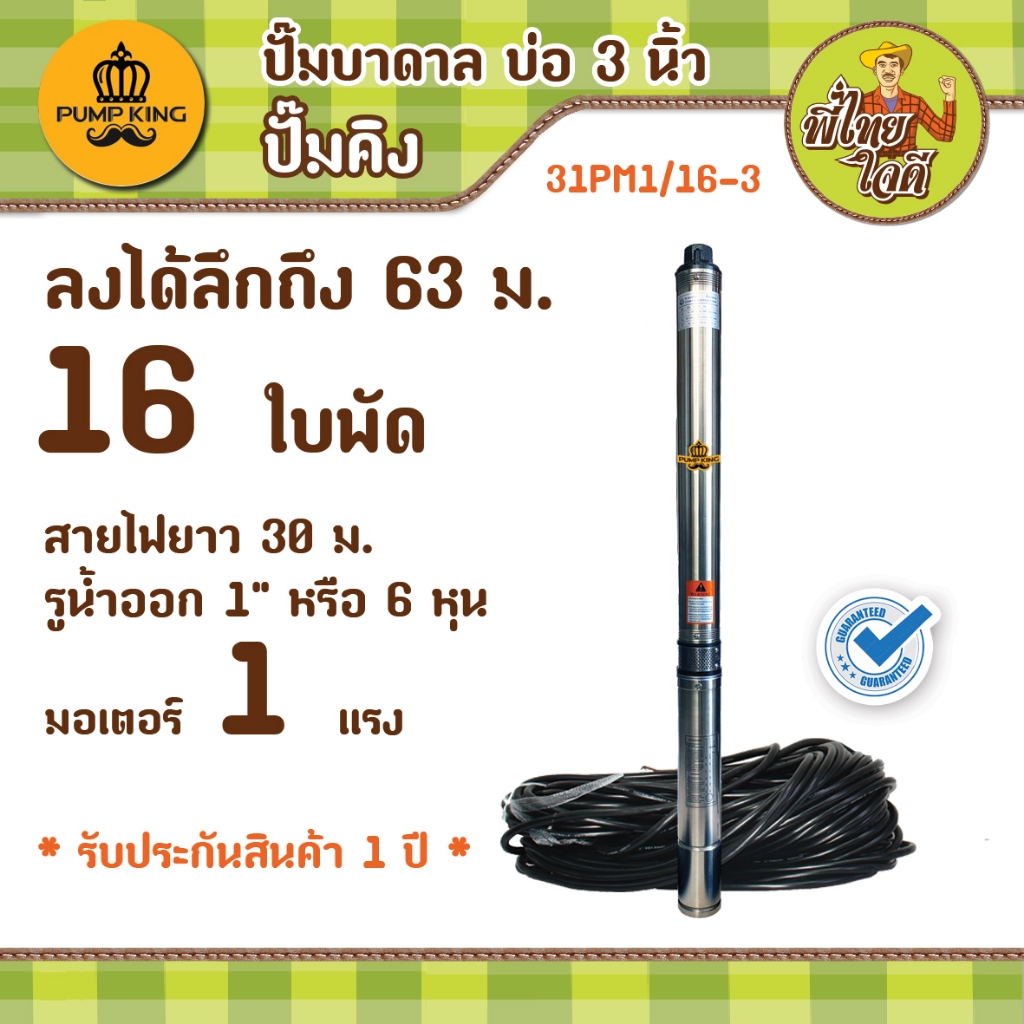 ปั๊มบาดาล บ่อ 3 นิ้ว รุ่น 31PM1/16-3