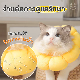 🏵️ collar แมว ปลอกคอแมว คอลล่าแมว ปอกคอแมว ปลอกคอกันเลีย ปอกคอสัตว์เลี้ยง ลำโพงกันเลีย ปอกคอกันเลีย คอลล่าสุนัข คอลล่า