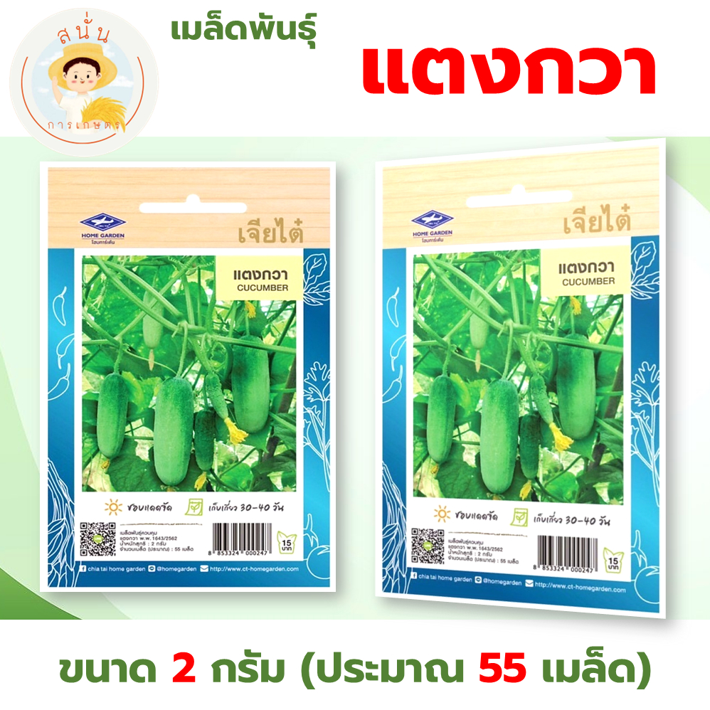 เจียไต๋ (ซื้อ10แถม2) เมล็ดพันธุ์ แตงกวา ขนาด2กรัม ประมาณ55เมล็ด Cucumber แตง เมล็ดพันธุ์พืช เมล็ดผัก ปลูกผักสวนครัว
