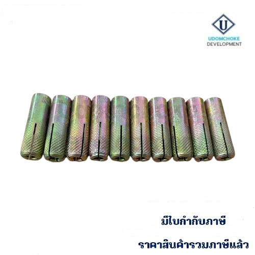 ปุ๊กดร็อปอิน FASTENIC DR (ราคา จำนวน 10 ตัว)