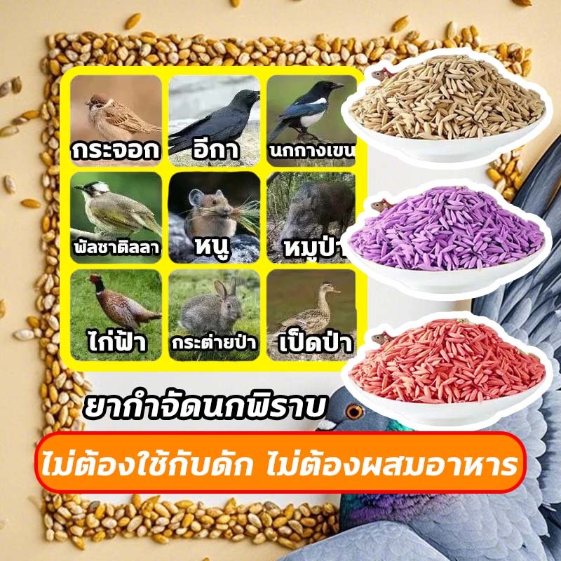 200% ได้ผล ยาเบื่อ นกพิราบ ยากำจัดนกพิราบ ยาเบื่อนก ไล่นก ก้อนไล่นก กำจัดนก เหยื่อกำจัดนกพิราบ เบื่อนกพิราบ ยาฆ่านกพิรา- - รูปที่ 3