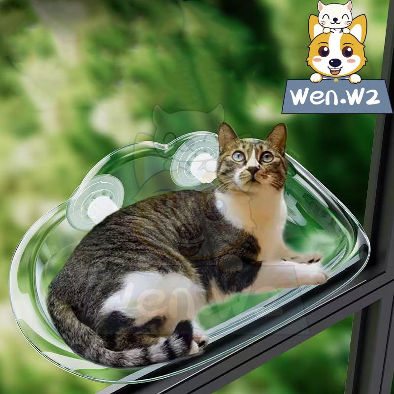 wen.W2 เปลแมวแบบติดกระจก ที่นอนสัตว์เลี้ยง แมว สุนัข