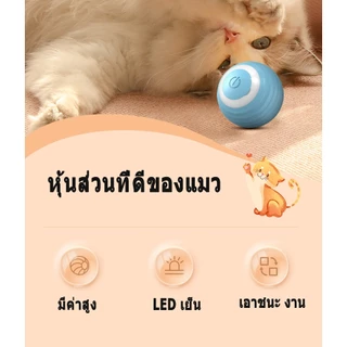 ของเล่นแมว ลูกบอลแมว การชาร์จ ปราดเปรื่อง ของใช้แมว cat toy แมวเล่นด้วยตัวเอง แมว ออกกำลังกาย