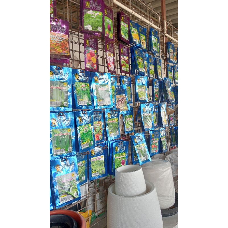 เมล็ดพันธุ์ผักสวนครัว 1 แพ็ค 10 ซอง 60 บาท
