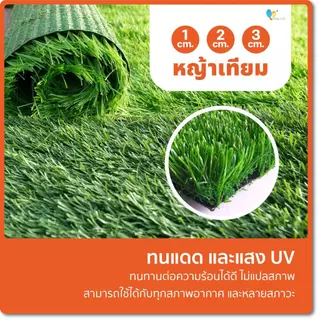 หญ้าเทียม หญ้าเทียมปูพื้น อุปกรณ์ตกแต่งสวน แผ่นหญ้าเทียม หญ้าปลอม หญ้าแผ่น สนามหญ้า หญ้าปูพื้นสนาม