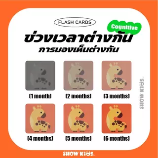 การ์ดกระตุ้นพัฒนาการสายตาทารก 0-36 เดือน เพิ่มสมาธิ แฟลชการ์ดขาวดํา Flash Cards