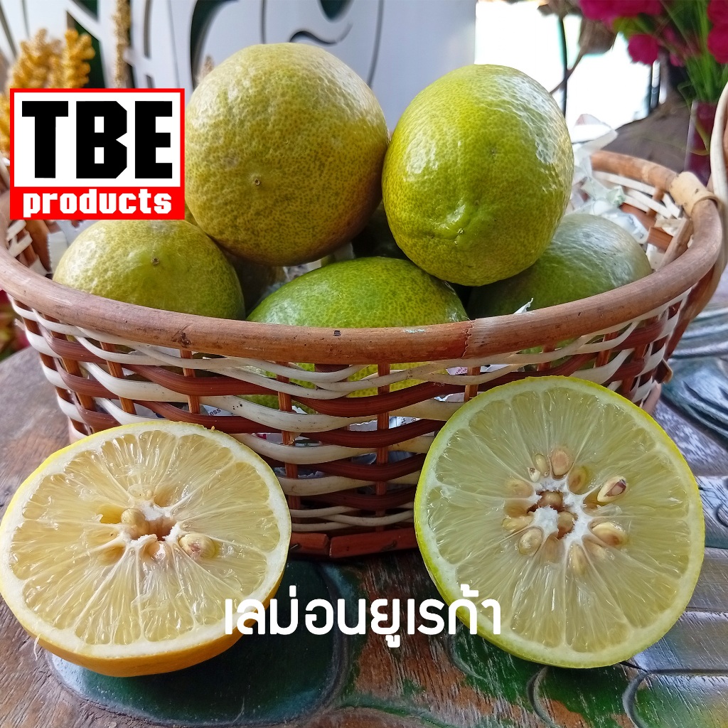 TBE เลมอน ยูเรก้า 1 กิโลกรัม