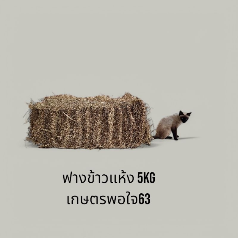 ฟางข้าวแห้ง Rice straw5Kg/
