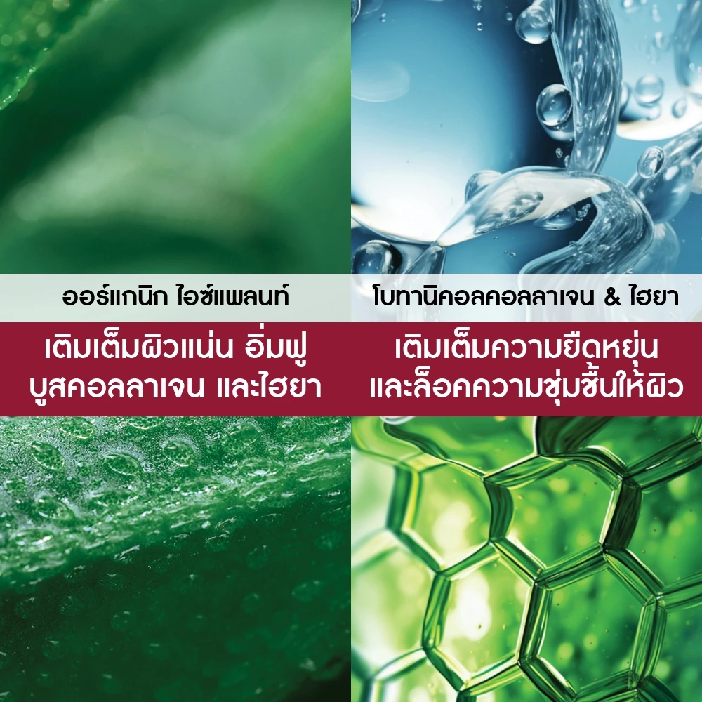 อีฟ โรเช Yves Rocher Lift Pro-Collagene Eye Care 14ml ลิฟท์ โปร-คอลลาเจน อายครีม 14 มล. - สกินแคร์ ยกกระชับผิวใต้ดวงตา thumbnail 5