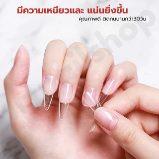 พร้อมส่ง! กาว AS ขวดแดง กาวติดเล็บปลอม PVC ชนิดอบ 15ml