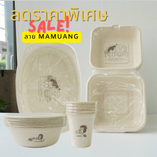 สุด cute พกพาง่าย กล่อง ชาม จาน แก้ว ชานอ้อย (5ชิ้น/10ชิ้น) …