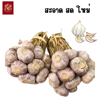 กระเทียมไทยจุก ขนาด 1กิโล