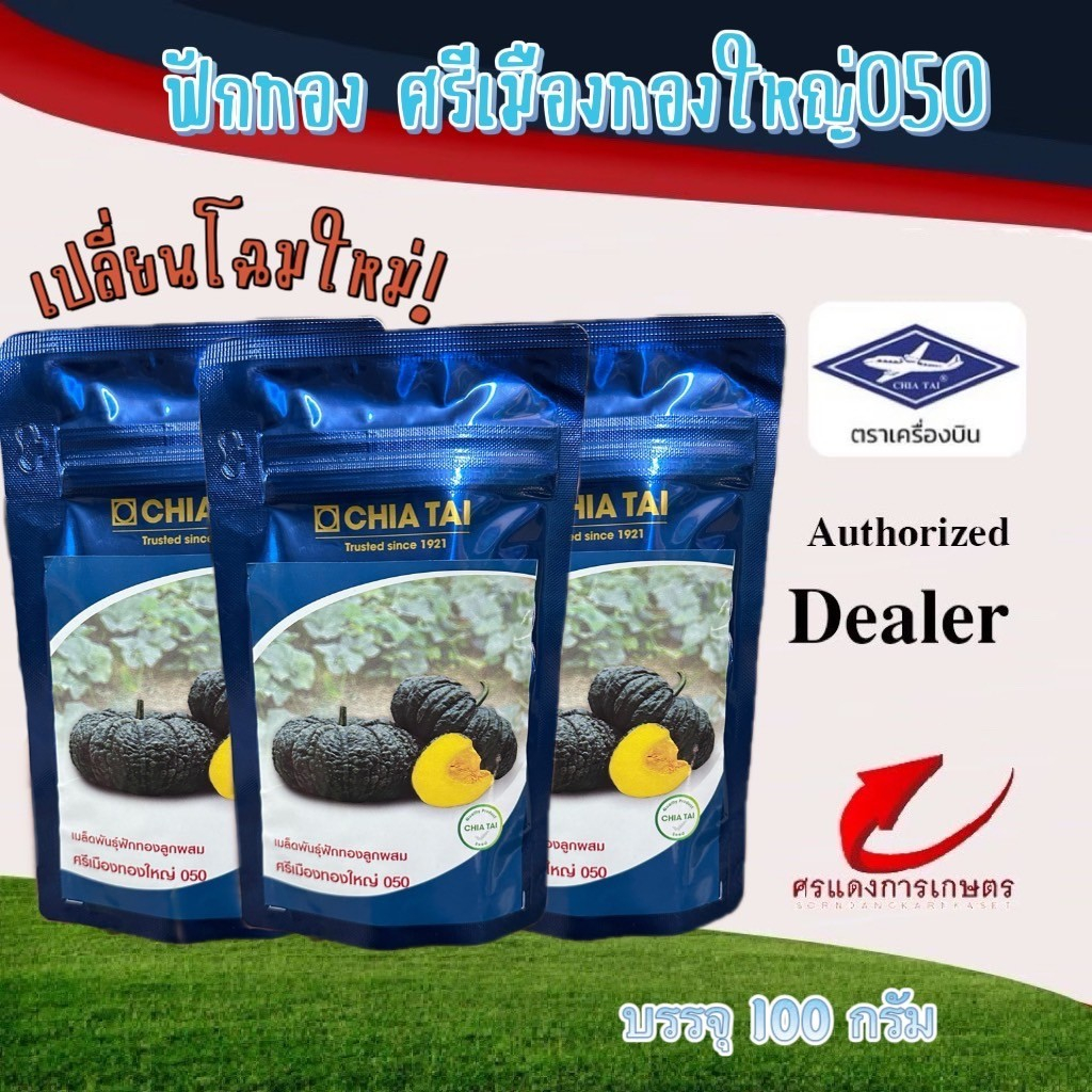 เมล็ดพันธุ์ ฟักทองศรีเมืองทองใหญ่050 100g