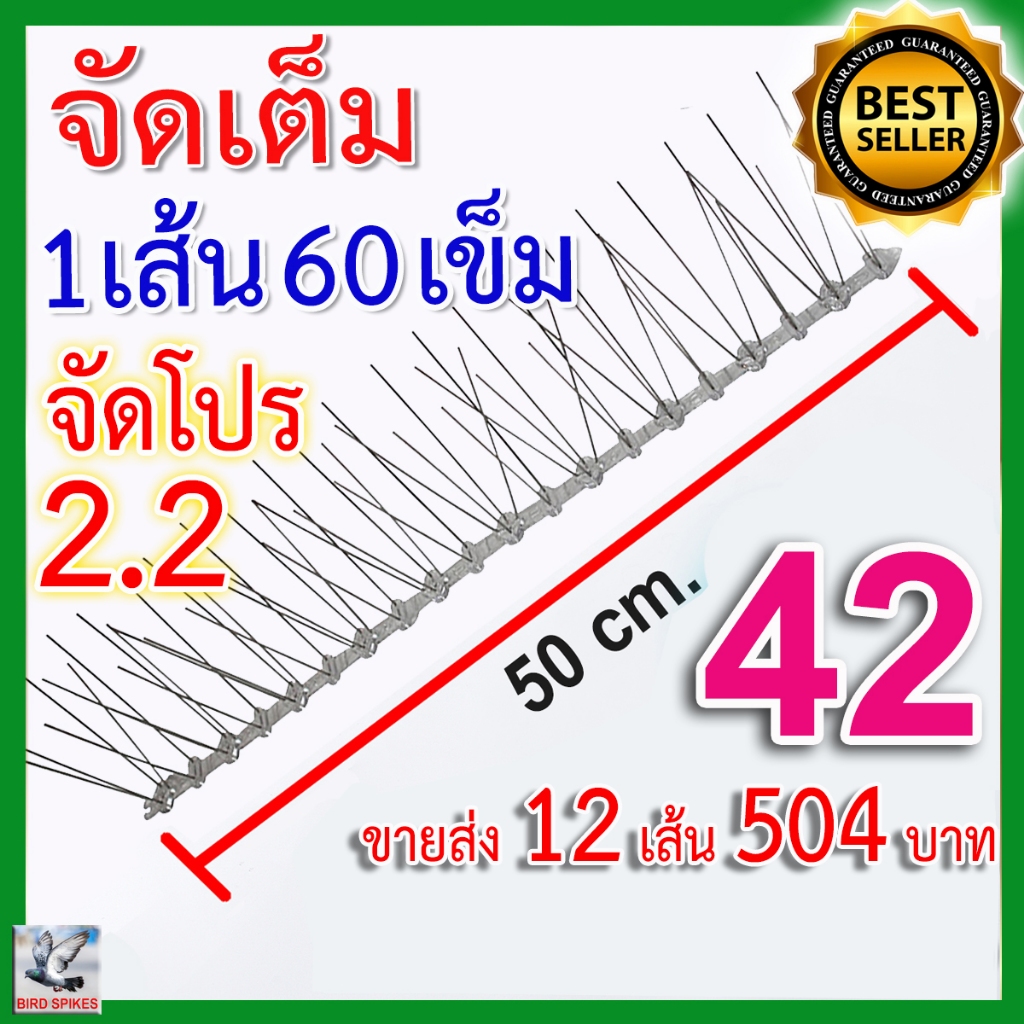 จัดโปร 2.2 หนามไล่นก ​หนามกันนกเกาะ รุ่นพิเศษ เข็มเต็มทุกช่อง มากที่สุด คุ้มค่าที่สุด (12 เส้น)
