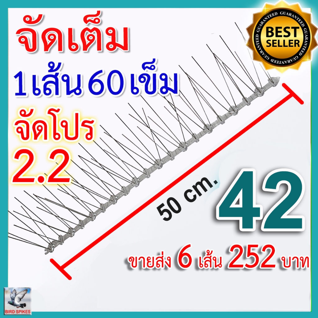 จัดโปร 2.2 หนามกันนกรุ่นพิเศษ Bird spike หนามไล่นกเข็มเต็มทุกช่อง มากที่สุด คุ้มค่าที่สุด (6 เส้น)